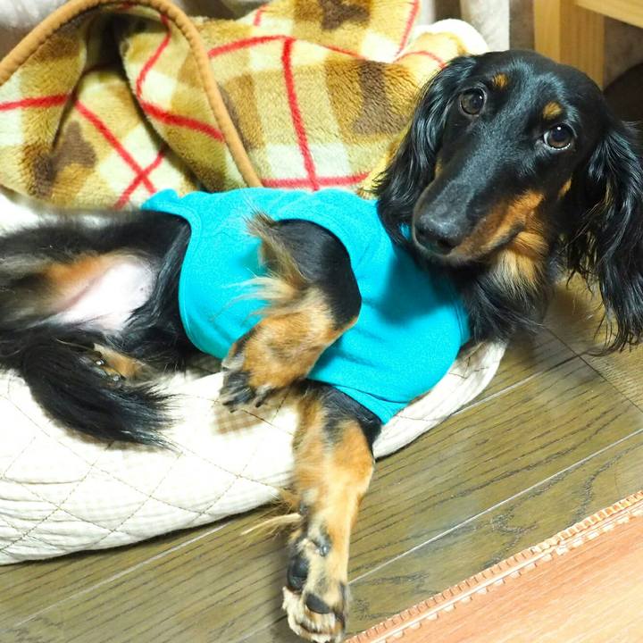 B9f4ddc9 bf24 49ce bbe5 a4b6ea68e45f