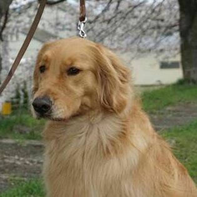 B9f4f9d5 e6a9 4aa5 b86e a0c031a0d659