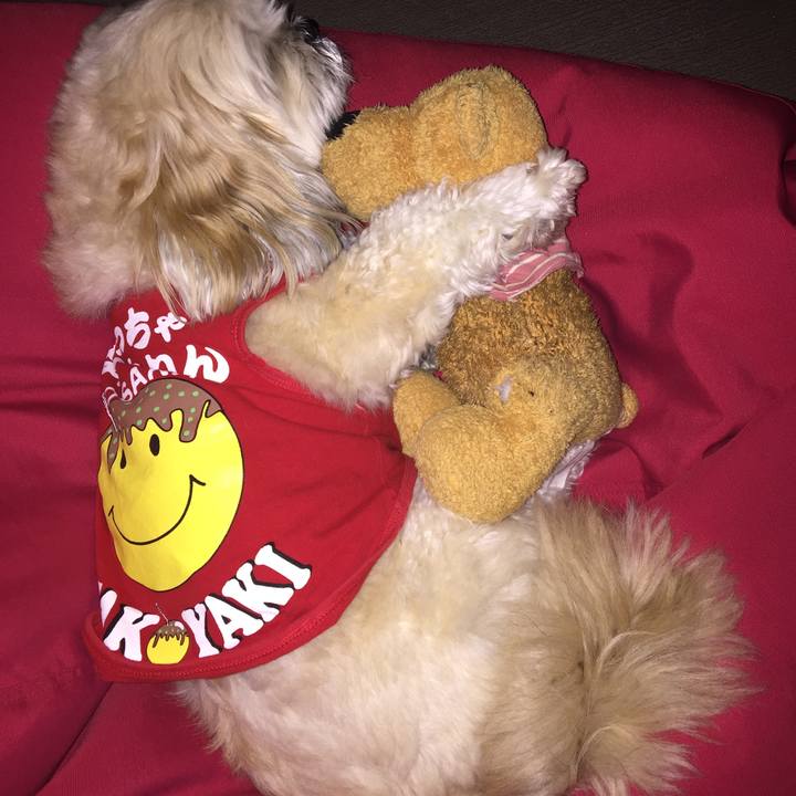 B9f529bc 2721 4424 9fa6 19048851db0f