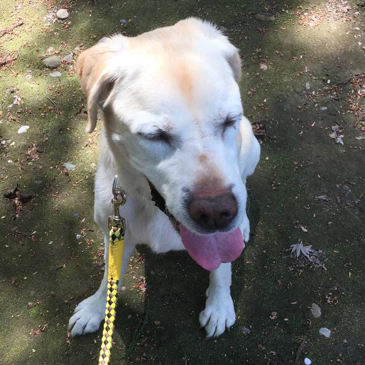 B9f5d07e 7f99 461a 9b3e 178a1b299dee