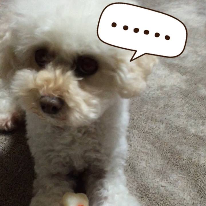 B9f63e28 541c 4d3a 9d60 4c7f92d04fa1