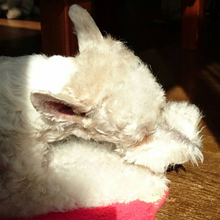 B9f6dc4f 37d0 41a1 87b3 f531cffc1f15