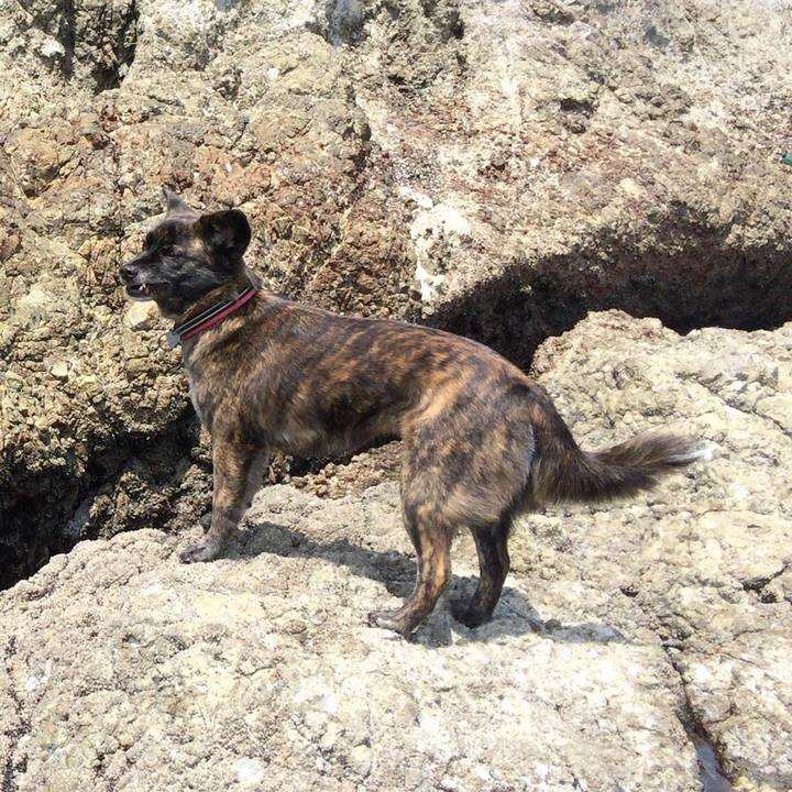 B9f6fdb7 74ca 41a8 906a b227f30185c2