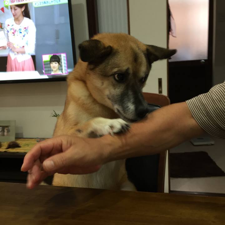 B9f729ba 0d83 4d82 b5d3 f977cfa38a67