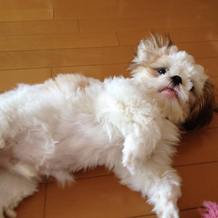 B9f76f37 e171 486b 9db8 0ccc545a3327