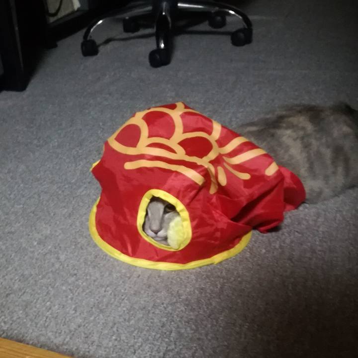 B9f78975 e79e 4877 9b97 5a891a590c47