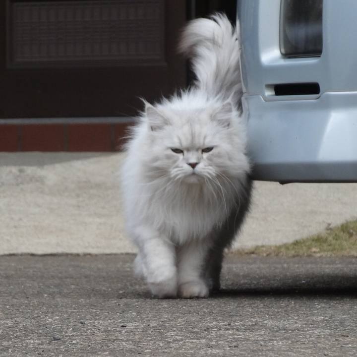 B9f7c9c2 ecae 4bea 85c5 f7eb542f1168