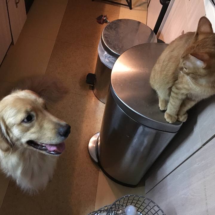 B9f7d3dc bcc1 44c8 80e3 0b52a16362cb