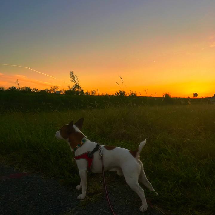 B9f83016 736a 41a6 9c8a 21f922c3df20