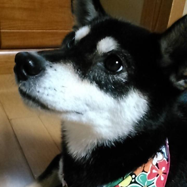 B9f90eb4 2814 49c3 8cf9 fafb90deca98