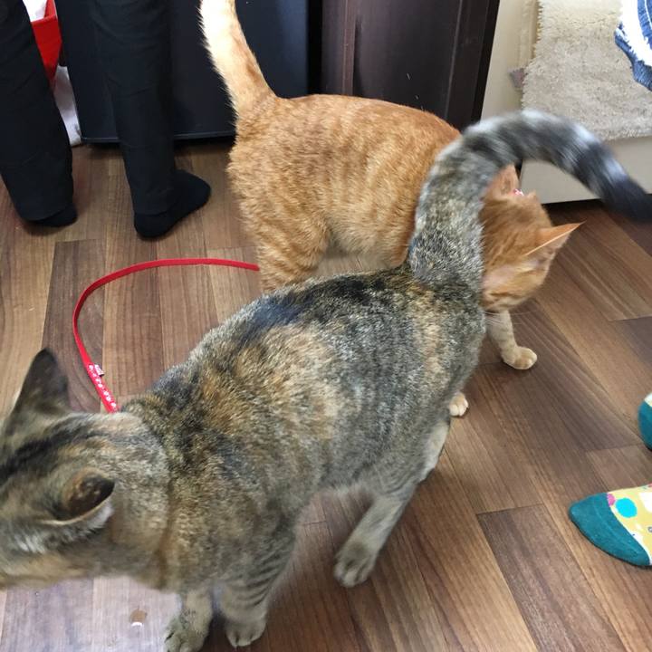 B9f94cc4 ecb9 4a05 bff9 04fafe33a5ec