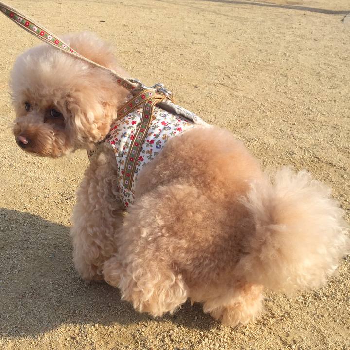 B9f97234 d1a5 4107 8ace 704d81099b8b