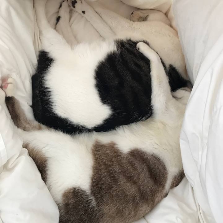 B9f9734a 81a4 4a14 ba92 9babd94d5020