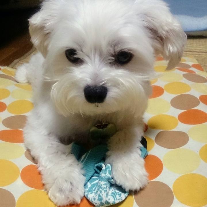 B9f9a734 394b 4986 8e6a 193520a93a83