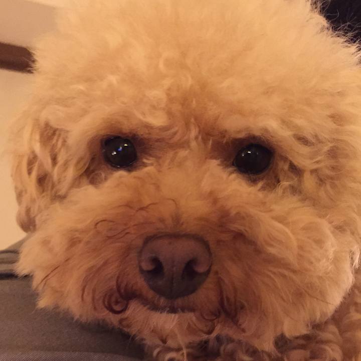 B9f9bb29 1dcf 45c2 abb3 7fc00c75a758