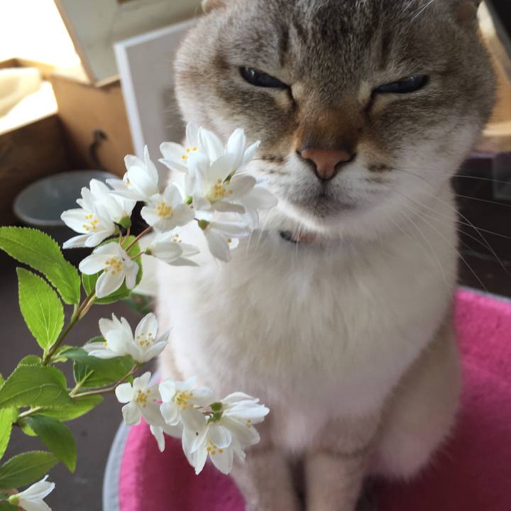 B9faa6d9 a405 49d9 aebf d4cc9232458f