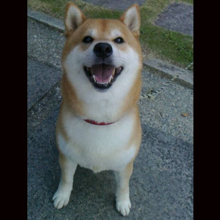 B9fb0001 d0c3 4dcc b5e9 ee3d5ce96d74