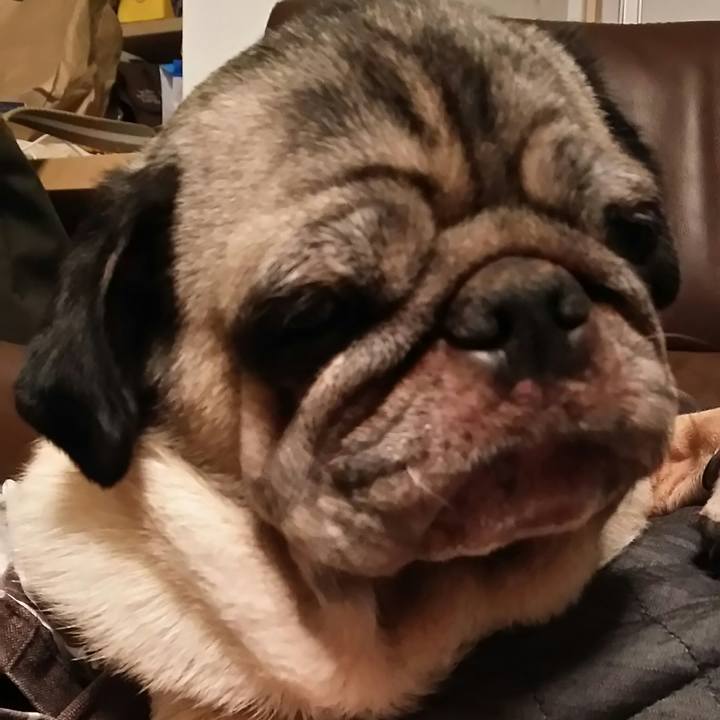 B9fb05f2 0ecc 4e6c 8900 7952e719cbe7