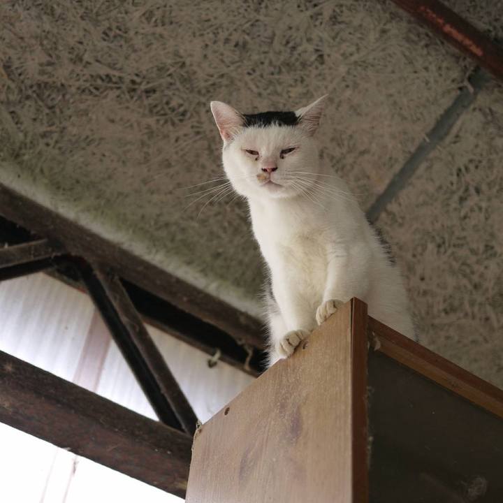 B9fb27ed f61f 422f ba3e 52fd192371c6