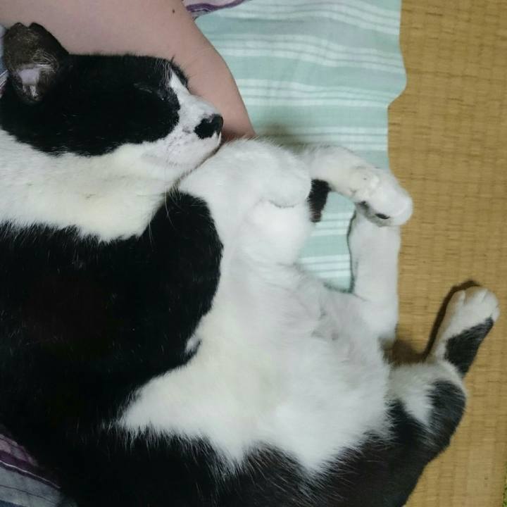 B9fb7e38 3190 4974 a727 1295da4496a5