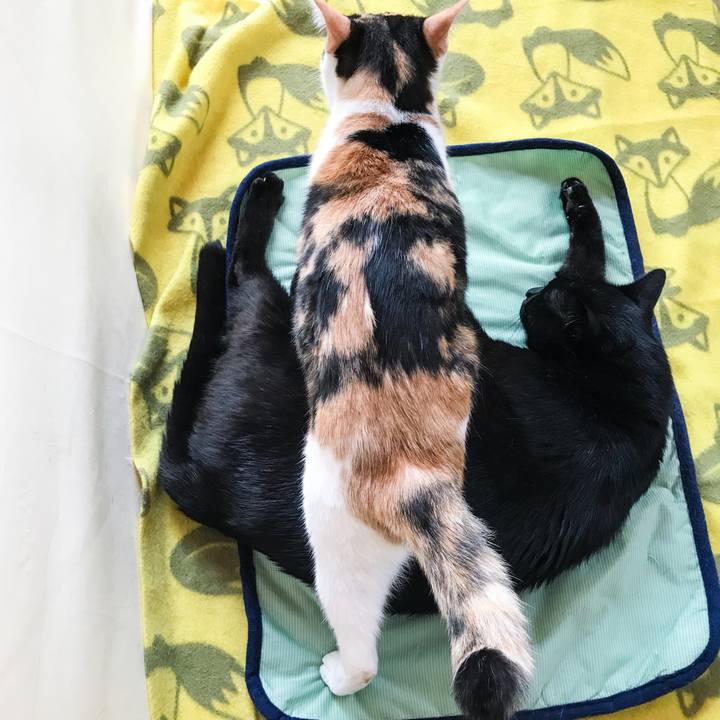 B9fb97eb b4d5 41b5 b698 63dcef3b938e