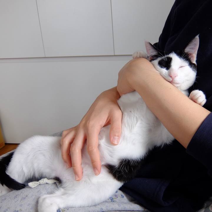 B9fc0061 72cb 4162 9237 bb9c710d8264