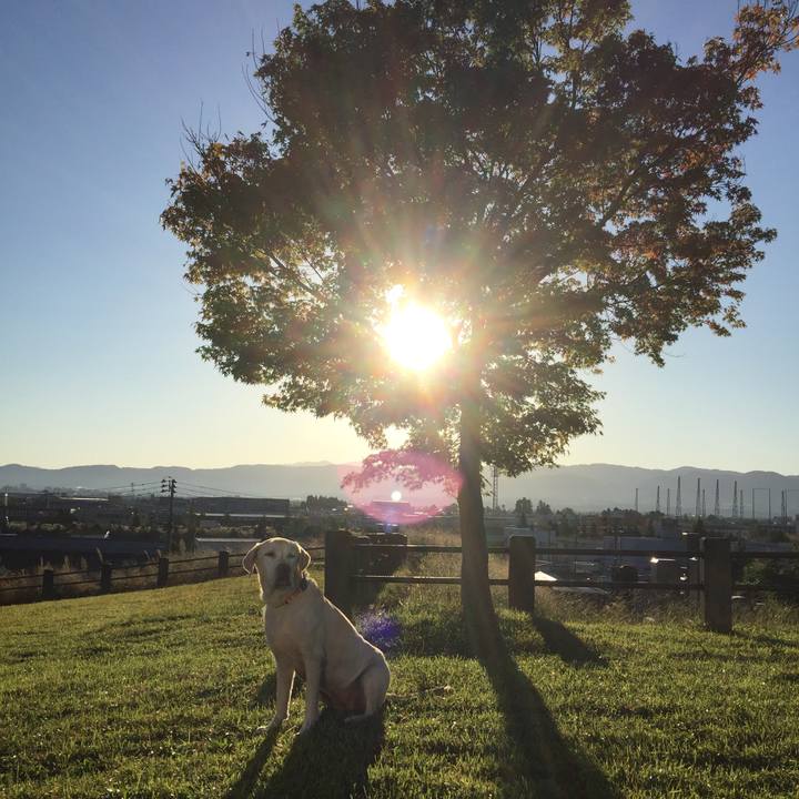 B9fc3007 1996 4be0 a92e 9456322b6734