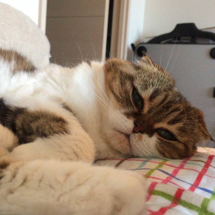 B9fc919f b291 4ef3 aef4 658805eab5b0