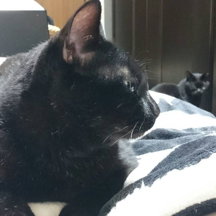 B9fcb1c3 b560 4fbb 8b83 2dd74801ae92