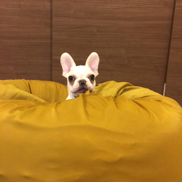 B9fccf1f 52ca 4d73 b839 967b975e6d48