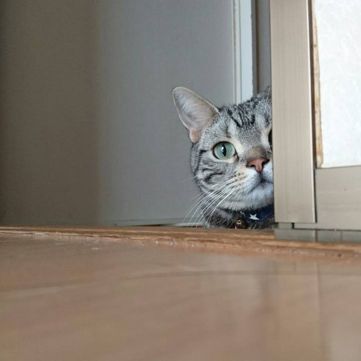 B9fd5c37 d1da 4f8d aabc e5815db89be7