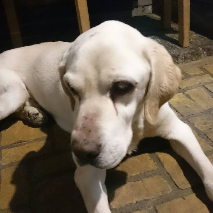 B9fd89a6 00d6 4980 bfb2 22477d6f621e