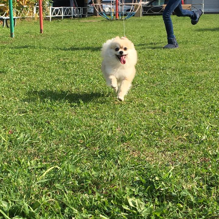 B9fe0f24 277c 4e6b a96a ea07ae33aea5