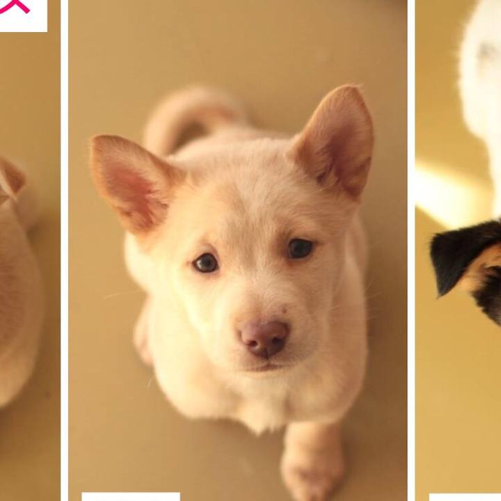 B9feeac5 f6b4 47c3 a572 7f337eec7e9c