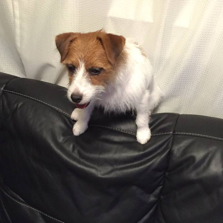 B9ff54da f852 41d1 a613 aaa9f8556bec