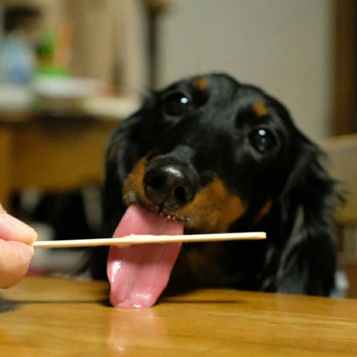 B9ff6de7 5995 49a4 a111 7f1bc20e1acb