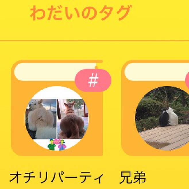 Ba00ad0d f15e 4833 a4f9 7295919619c8