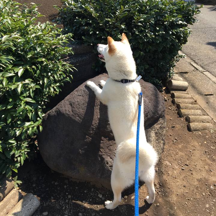 Ba013228 8109 4815 99d5 a916c67a9ff1