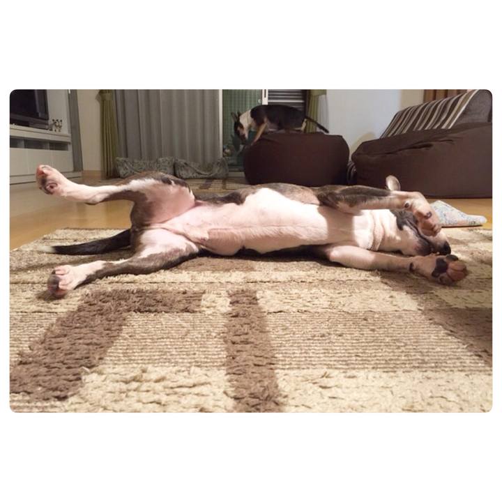 Ba013906 88c2 486c 9083 2d330c56b37a