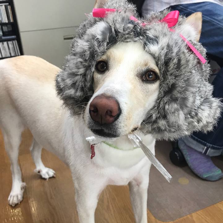 Ba0153ee a5ea 471d 9696 9fa1d8f0e4a9