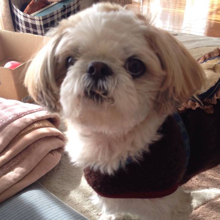 Ba01a099 790d 42a2 b209 9f8e86f6171a