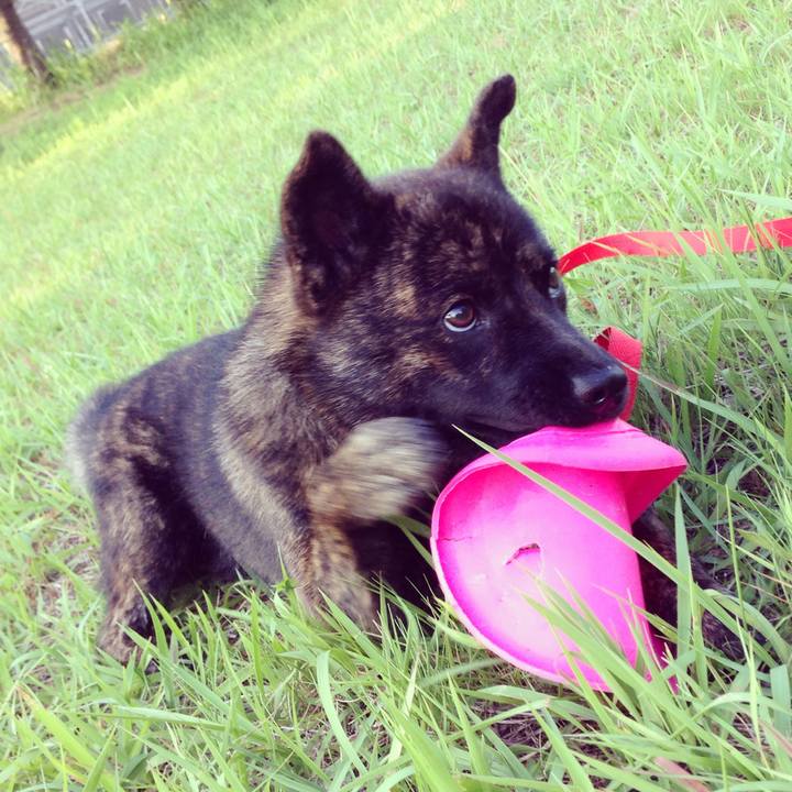 Ba01ab51 6a47 4c1b 9547 dd2bcfe7b69f