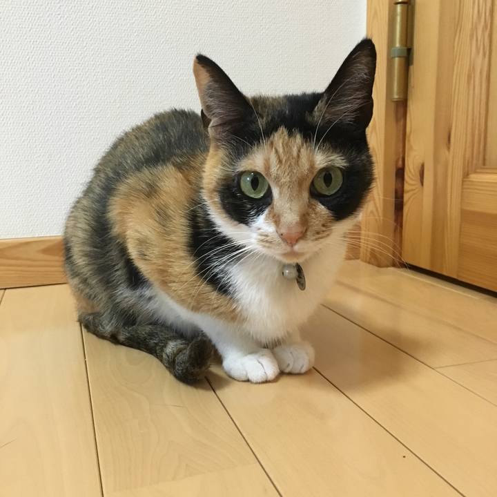 Ba01b264 811c 4eca 822f e4a40bfd3eb8