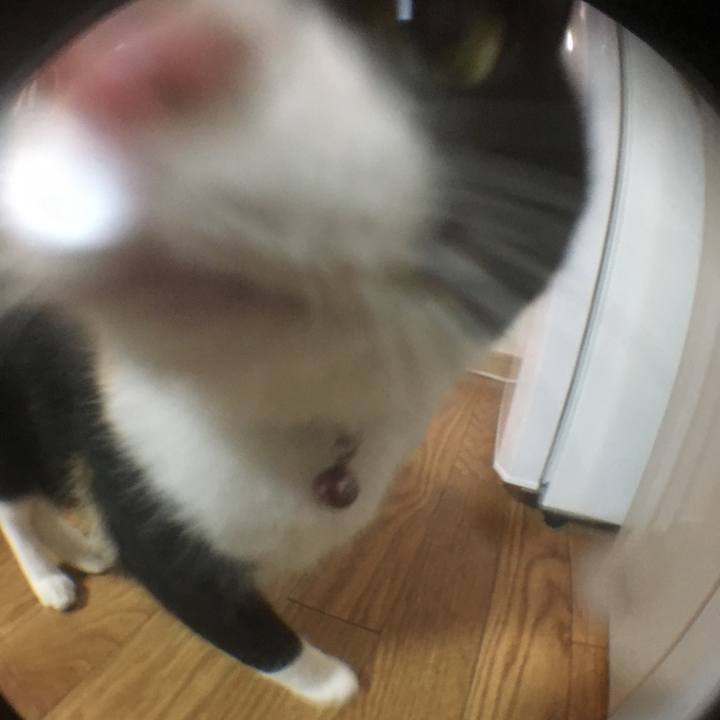 Ba01be78 8596 4c70 bab7 a2affa0acc20