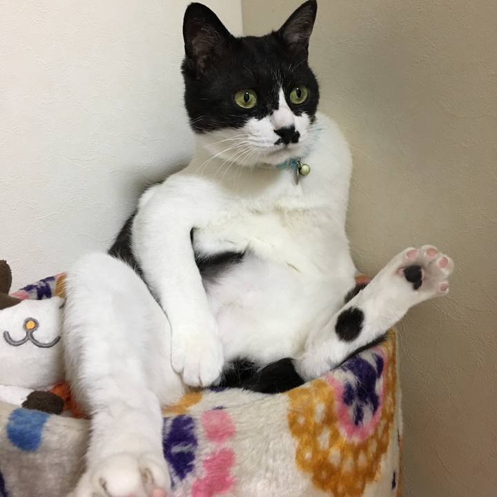 Ba01e408 4c23 49b2 80f5 703ec79d370e