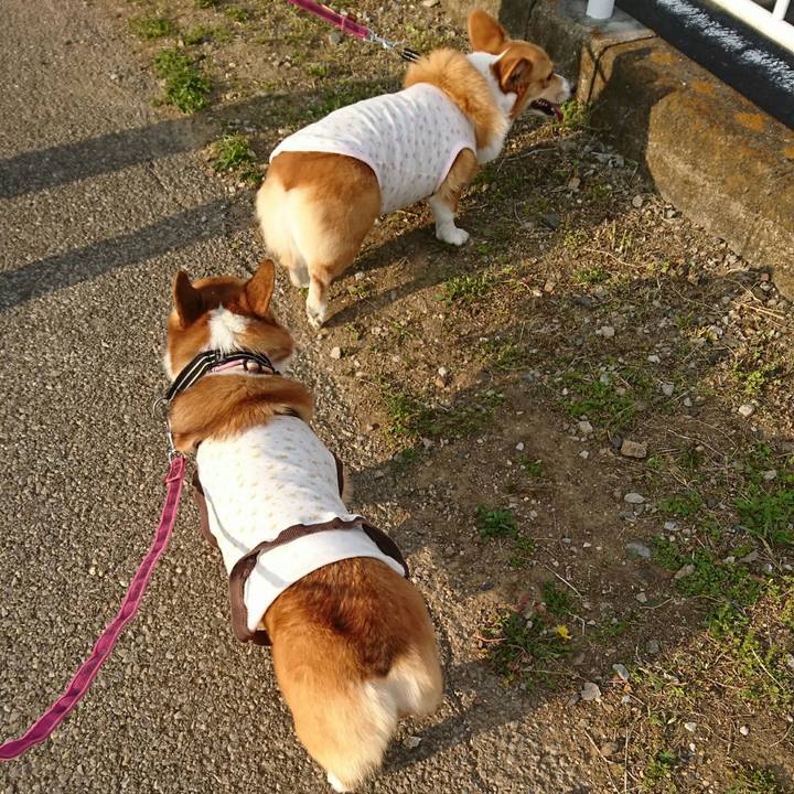 Ba0254aa bfd5 4b11 9e34 d064ac7b081b