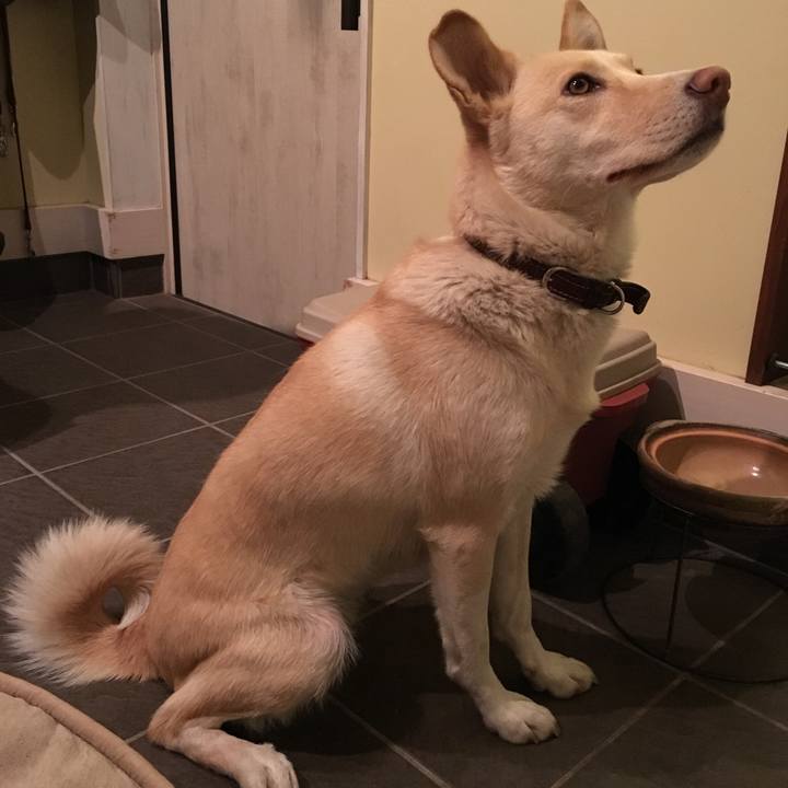 Ba025dbd 58ec 4167 9654 367f116e3659