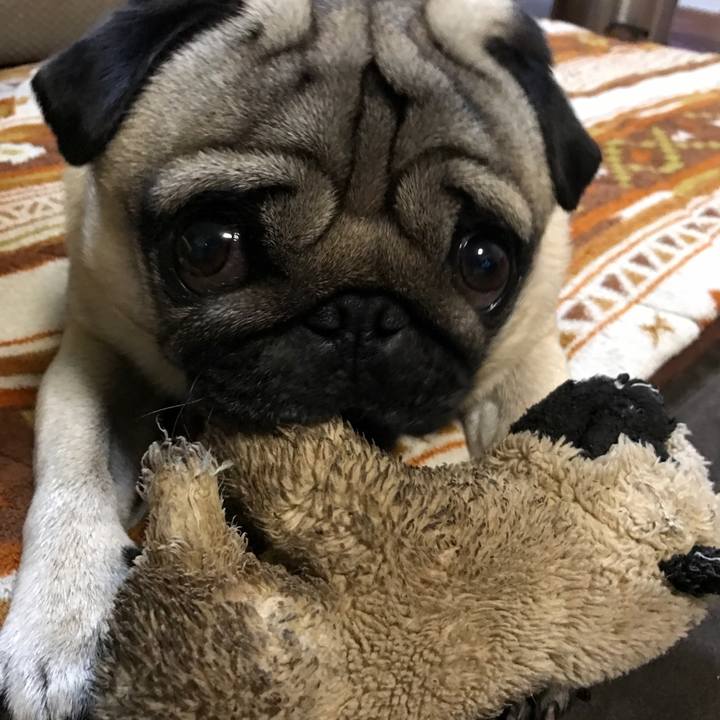 Ba031e22 114b 4230 b9d2 a1958858cfc9