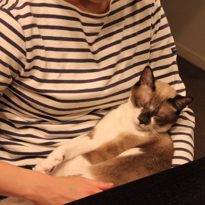 Ba0340d9 c150 41c8 b5d0 0599fead966d