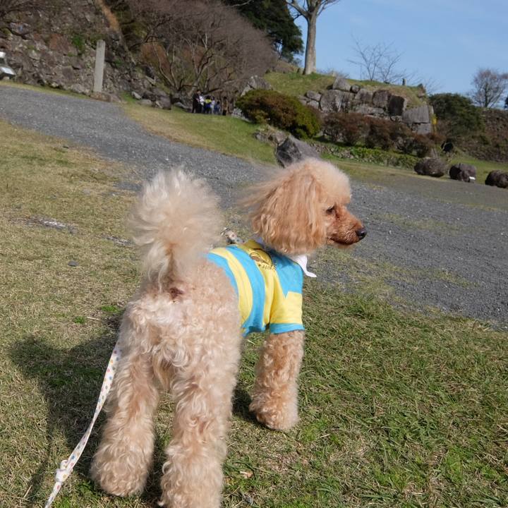 Ba03bf6b acaa 4226 8411 8d4649924d4a